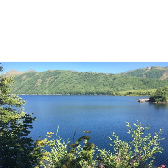 🌺 Meet your Posher, Dana 🌺 - Picture 11 of 12